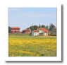 Diffuso